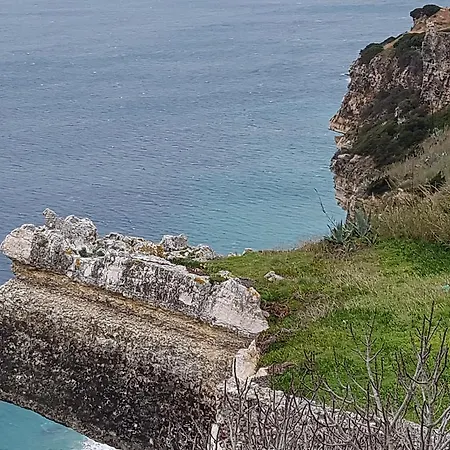 O Paraiso No Terraco * Foz do Arelho