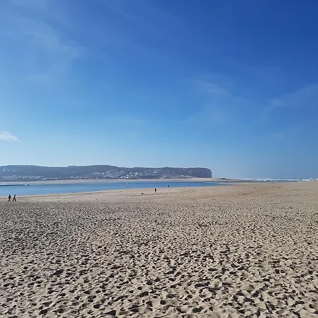 O Paraiso No Terraco Διαμέρισμα