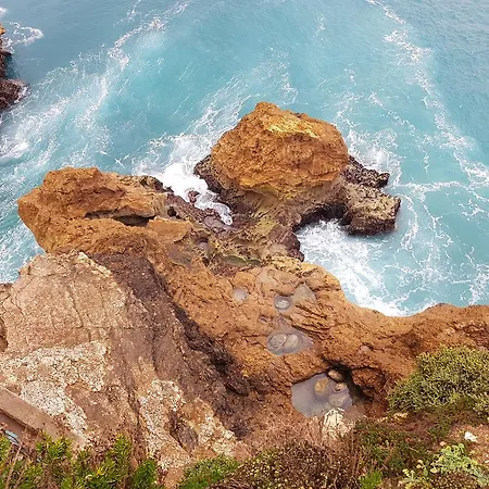 O Paraiso No Terraco