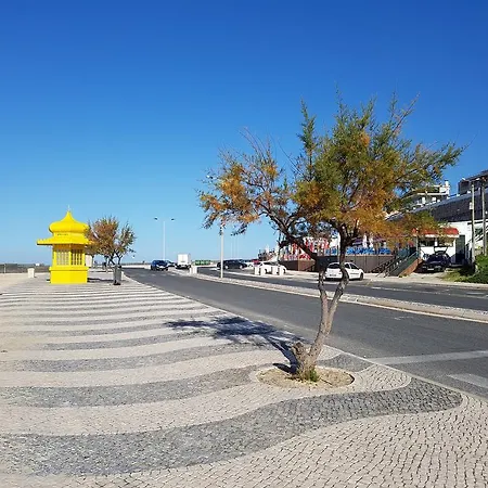 O Paraiso No Terraco פוז דו ארליו