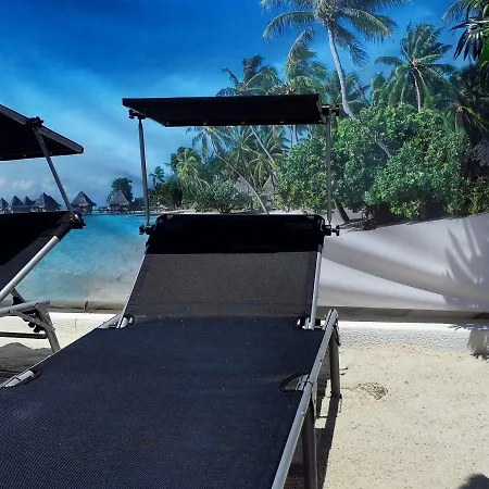 O Paraiso No Terraco *